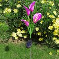 thumbnail image 2 of LCXmlly Waterproof Garden Lamp Auto On/Off Solar Garden Lights Waterproof Color Changing Light for Landscaping, 2 of 7