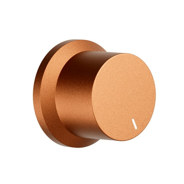 Perillas de Volumen Reemplazables para los Amplificadores BT20A PRO, BT30D PRO, TB10D, BT20A y BT30D