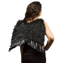 Black Economy Feather Wings 22 X 21