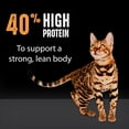 thumbnail image 5 of Crave High Protein Adult Dry Cat Food - Grain Free, Chicken, 5 of 5