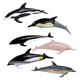 thumbnail image 5 of Mini figuras de delfines pintadas A mano CUTICAT 6 uds estatuilla de animales, 5 of 7