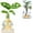 White, variant on FeiFu LED Window Propagation Stations,Bulb Vase,Easy to Install Window Hanging Planter,Glass Terrarium Planters for Water Propagation Rooting Cuttings