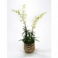 thumbnail image 1 of Distinctive Designs International 9858 White Orchids & Greenery Mix in Burnt Gold Gabi Planter, 1 of 1