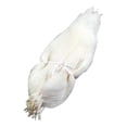thumbnail image 3 of KLKCMS 50Pcs Magnolia Skeleton Leaves Bookmark Jewelry Making Specimen Craft Leaves, 3 of 9