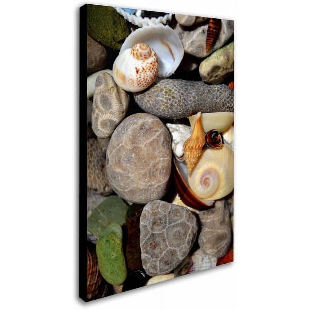 Trademark Fine Art "PetoskeyStones ll" Canvas Art by Michelle Calkins