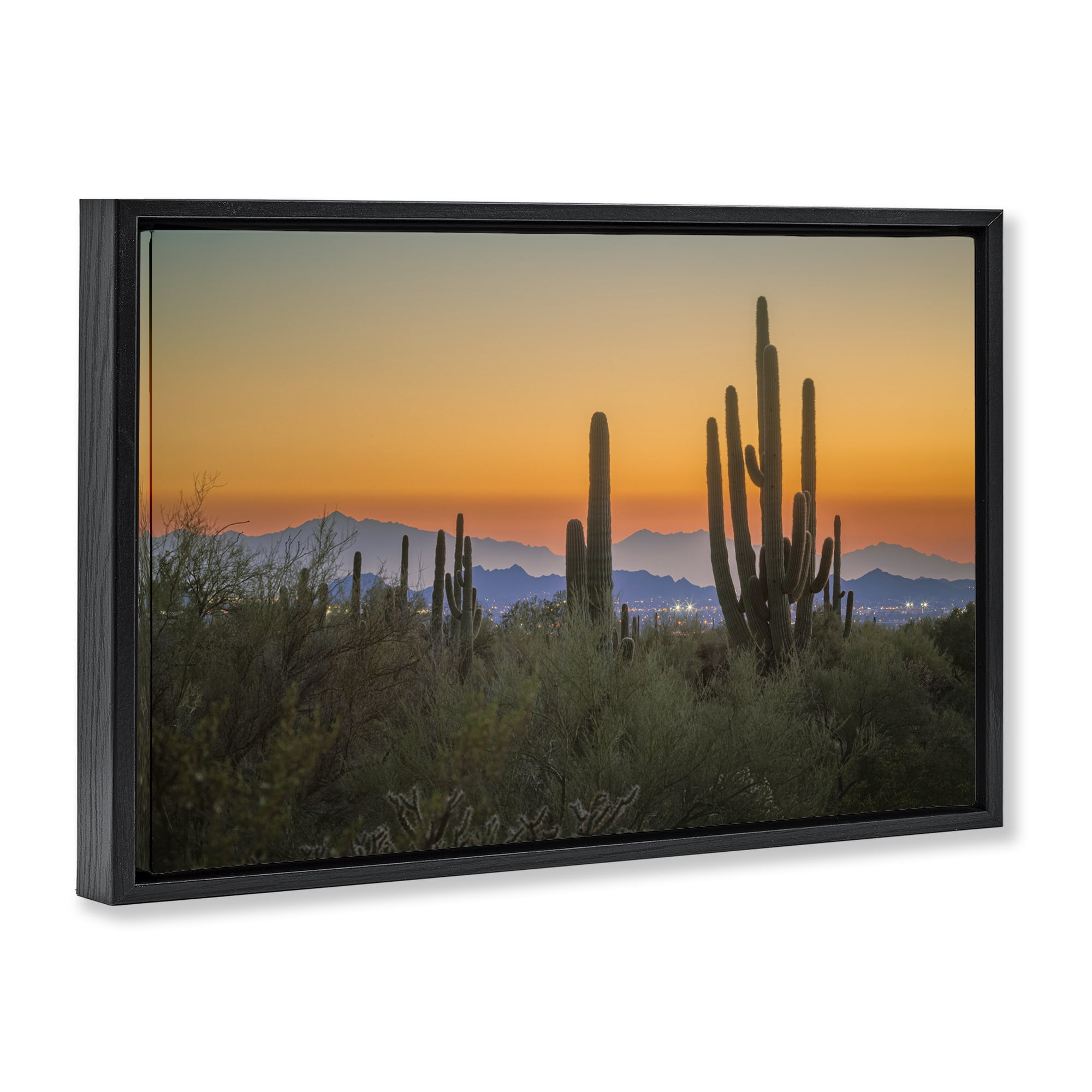 Stupell Industries Looming Cacti Sunset Landscape & Nature Photography Black Floater Framed Canvas Art Print Wall Art, 31 x 21
