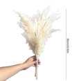 thumbnail image 3 of Coofit Dried Grass Flower Fluffy 10PCS Pompous Grass Decor Dried Reed Bundle for Home, 3 of 10