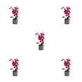 thumbnail image 1 of Orquídea artificial bonsái en maceta Toystoory Phalaenopsis Color brillante planta falsa, 1 of 6