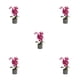 thumbnail image 3 of Orquídea Artificial Billuyoard Bonsái Potted Decoración de Plantas para el Hogar, 3 of 6