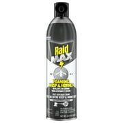 Raid MAX Foaming Wasp and Hornet Killer, Fast Coverage Outdoor Foaming Spray, 16.5 oz