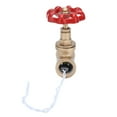thumbnail image 3 of Interruptor de luz industrial G1/2, interruptor de luz de tubería de agua, interruptor de lámpara Steampunk con cable de 12 V/120 V, 3 of 14