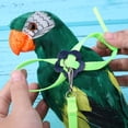 thumbnail image 4 of WDOplteas Correa Arnés Ajustable Pájaro Antimoscas Cuerda Entrenamiento Al Aire Libre (verde), 4 of 5