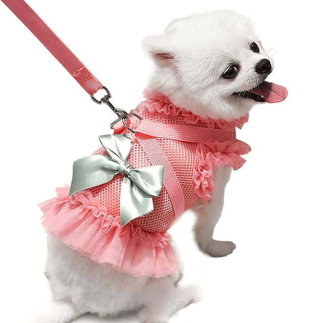 Conjunto de arnés y correa para perros pequeños, chaleco sin tirones para cachorros, arneses suaves ajustables de malla transpirable, lindo lazo, vestido de arnés para perros MFZFUKR CPB-DE-LYY2025-8