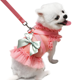 thumbnail image 1 of Arnés y correa para perros pequeños FloreceBien, chaleco antitirones para cachorros, arnés suave, ajustable, de malla transpirable, bonito lazo para mascotas, 1 of 5