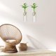 thumbnail image 2 of Estación de Propagación de Pared: 2PCS Terrarios De Cristal Florero Macetas Colgantes Maceteros Cilíndricos Montados En La Pared Soporte para Plantas, 2 of 4