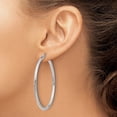 thumbnail image 3 of Auriga Fine Jewelry 14K White Gold Polished 2.5mm Lightweight Tube Hoop Earrings for Women, 3 of 5