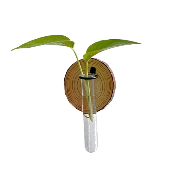 Modern Desktop Decorative Ornament Glass Tube with Wooden Base Creative Home Tabletop Art Piece for Living Room Office Entryway Shelf