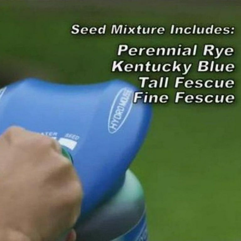 Hydro mousse lowes discount