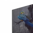 thumbnail image 2 of Luxe Metal Art 'Blue And Yellow Macaw In Burned Forest' by Harro Maass, Metal Wall Art, 16"x12", 2 of 9