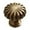 Bronze, variante sur TIELUTT Boutons d'Armoire en Laiton Antique Boutons Ronds de Cuisine Design Moderne Quincaillerie pour Armoire et Tiroir