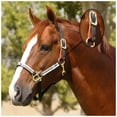 thumbnail image 2 of Kensington Premium Breakaway Nylon Halter, 2 of 4