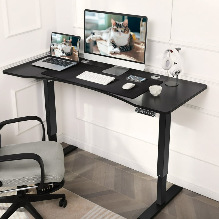 farexon 55 x 24 Inch Electric Standing Desk Adjustable Height, Sit