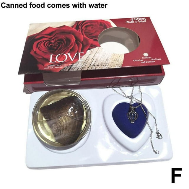 Rtyweth Wish Pearl Necklace Kit Innovative Chain Charm Making Wish Necklace For Jewelry Kit Pearl decor Necklace rose silver Necklace rose Set Chain, necklaces Girlfriend women Gift,