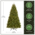 thumbnail image 6 of National Tree Company 8 ft. Pre-Lit Artificial Christmas Tree, Green, Dunhill Fir, Clear Lights, Includes Stand, 6 of 9