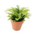 thumbnail image 3 of Casa de Muñecas en Maceta Planta Accesorios Sala de Estar Dormitorio Jardín de Hadas Bonsái Artificial CUTICAT Estilo B, 3 of 8