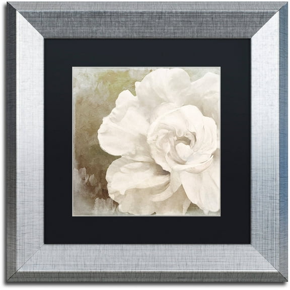 Trademark Fine Art "Petals Impasto II" Canvas Art by Color Bakery Black Matte, Silver Frame