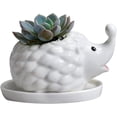 thumbnail image 1 of Hedgehog White Ceramic Succulent Planter Flower Plant Pot Window Box with Saucer Animal Decor (Mom Hedgehog), 1 of 4
