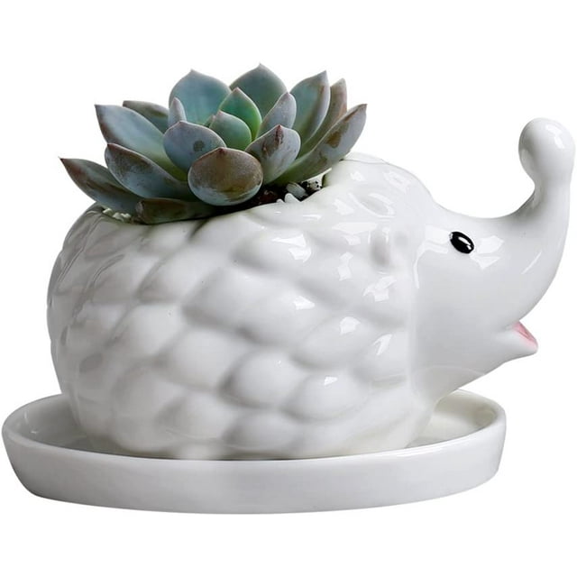 Hedgehog White Ceramic Succulent Planter Flower Plant Pot Window Box with Saucer Animal Decor (Mom Hedgehog)