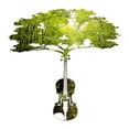 thumbnail image 3 of CafePress - Violin Tree Long Sleeve T Shirt - Unisex Cotton Long Sleeve T-Shirt, 3 of 4