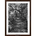 thumbnail image 5 of Art.com Awesome South Africa Collection B&W - African Forest Photographic Print by Philippe Hugonnard, Brown Frame Wall Art, 32" x 44", 5 of 5