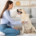 thumbnail image 6 of Miiottaa Portable Paws Cleaner for Dogs Small/Medium Dog Foot Washer for Dog Cats, 6 of 20