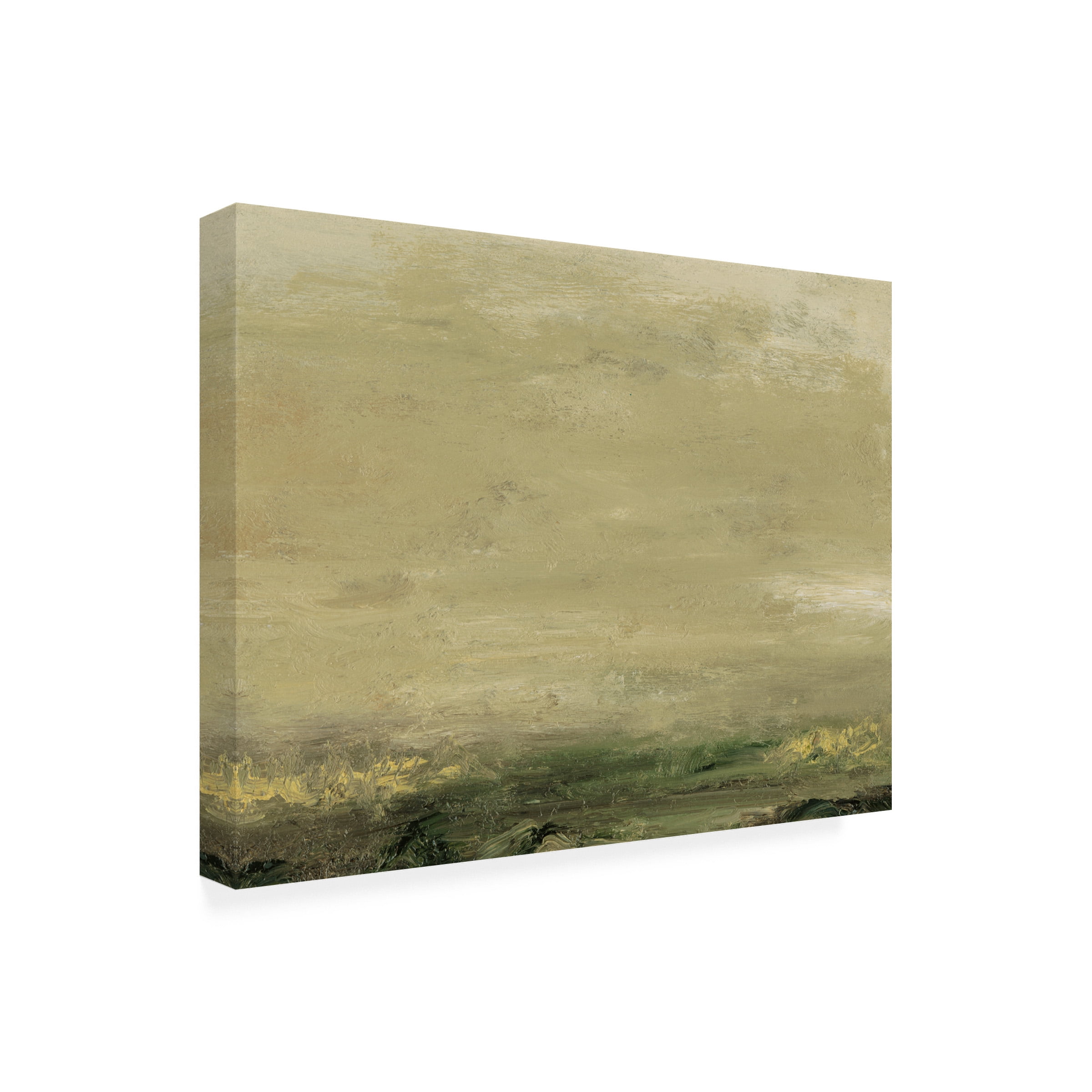 Sharon Gordon 'Elevated View V' Canvas Art