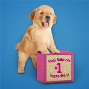 Purina Puppy Chow Dog Training Treats, Healthy Start with Real Salmon, 7 oz Pouch