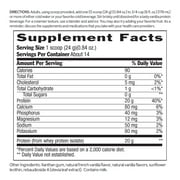 Biochem Sugar Free 100% Whey Protein Vanilla 11.8 oz Powder