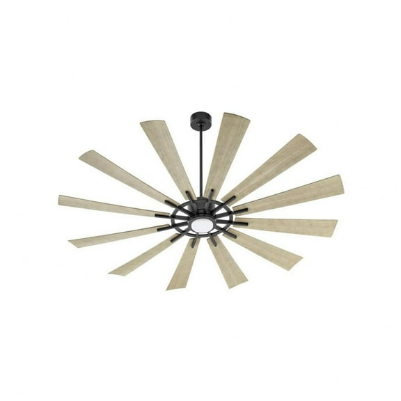 Quorum Lighting - Cirque - 12 Blade Patio Fan with Light Kit-15 Inches Tall and