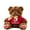 Red, variant on Teddy Bear Plush Toys Personalized Stuffed Bear Plush with Custom Photo Text as Personalized Gift for Girls Boys on Birthday Anniversary Christmas Day, 8 inch-Photo Text