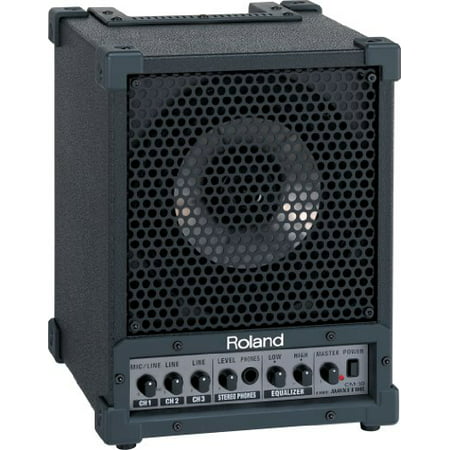 Roland Cube Monitor / PA