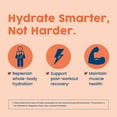thumbnail image 5 of NativePath Hydrate Electrolyte Stick Packets Peach Mango, Zero Sugar, BCAAs, Keto, 30 Count, 5 of 9