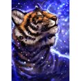 thumbnail image 1 of Taladro Diamante Pintura (DE3471) 5D DIY Completo Tigre Bordado Mosaico Kits (wll890) 20X30cm Hugtrwg Para estrenar, 1 of 1