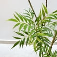 thumbnail image 5 of 5.9' Artificial Mahonia Fortunei Plant, Fake Artificial Tree with Pot, Faux Mahonia Fortunei Tree Potted Plant For Home Office Living Room Indoor Housewarming Decor, 5 of 8