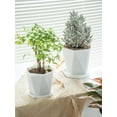 thumbnail image 5 of 3Pcs Plastic Planters for Indoor Plants Flower Pots 7.6/6.5/5.1Inch Plant Pots for Outdoor with Drainage Holes and Saucers Modern Decorative Gift Idea, 5 of 7