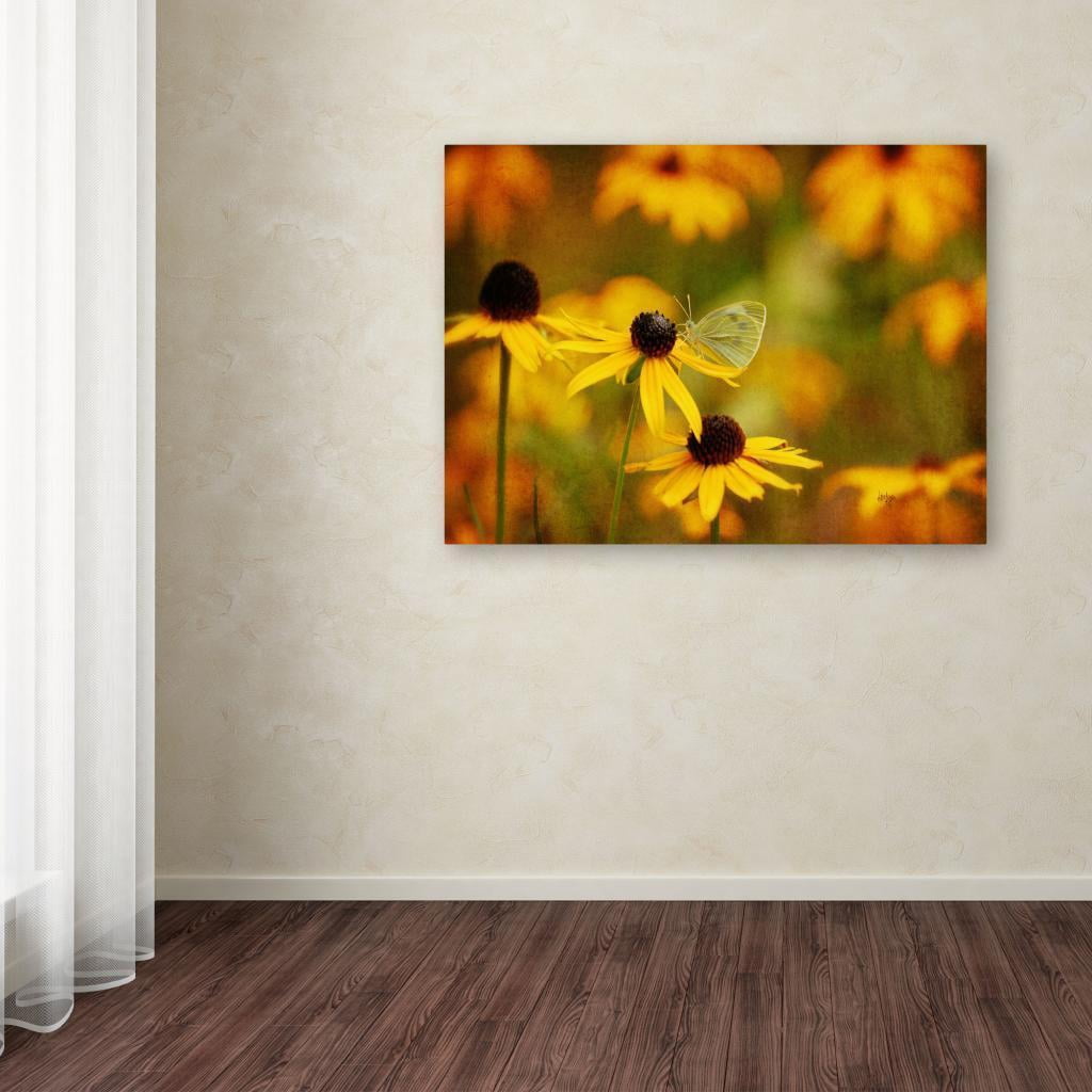 Trademark Fine Art "Abundance" Canvas Art by Lois Bryan