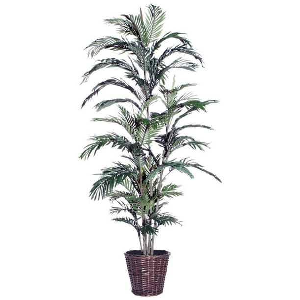 Vickerman 6 ft. Artificial Areca Palm Tree in Rattan Basket - Walmart