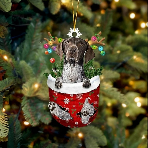 Blue Tick Hound Dog In Snow Pocket Christmas Ornament