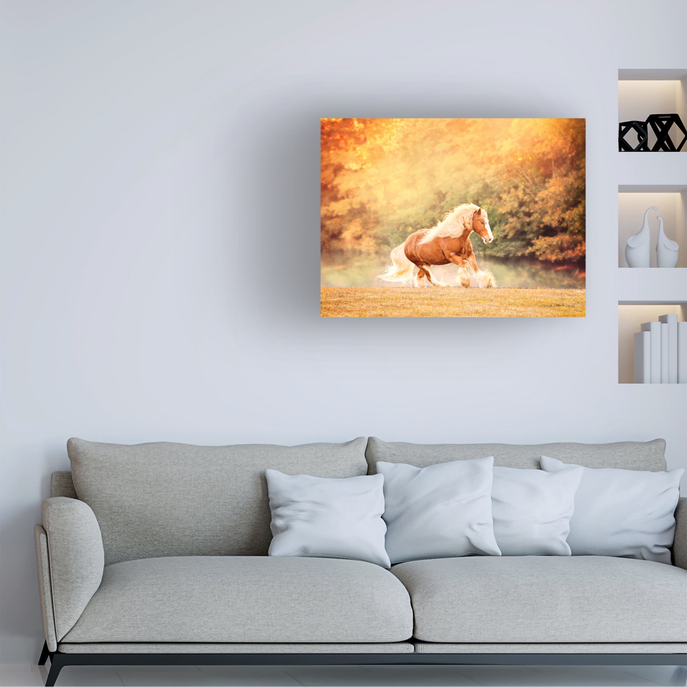 PHBurchett 'Horse Motion II' Canvas Art
