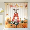 thumbnail image 3 of Happy Thanksgiving Italian Greyhound with Turkey Pumpkins Autumn Vibes Shower Curtain Greyhound Dog Lover Waterproof Bathroom Bathtub Curtain - 12018, 3 of 5